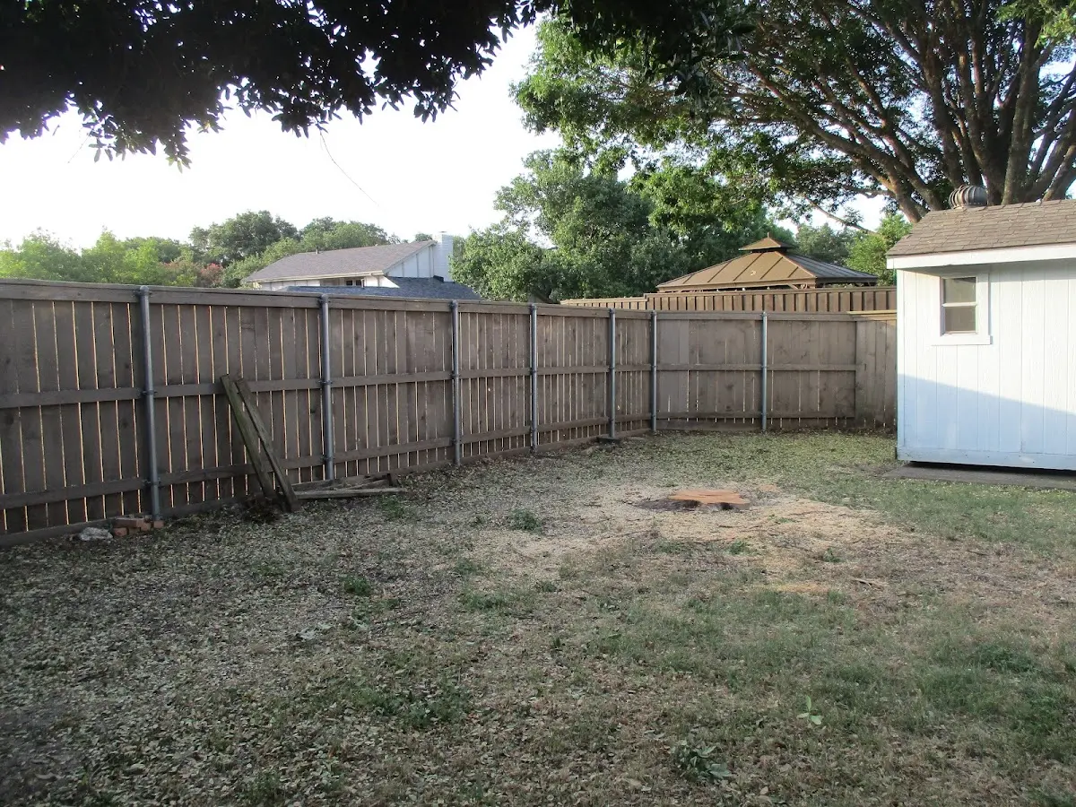 Cleared yard after professional tree removal in East Dennis